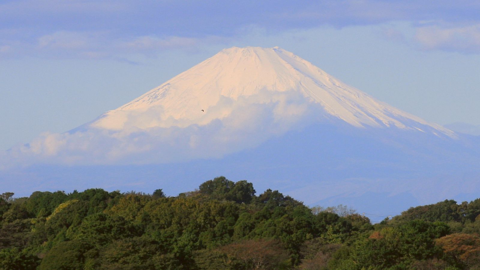 ���᡼�� 1