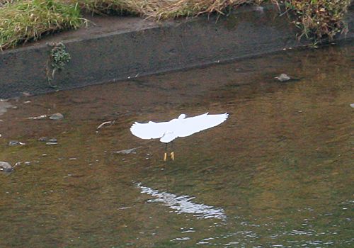 ���᡼�� 1