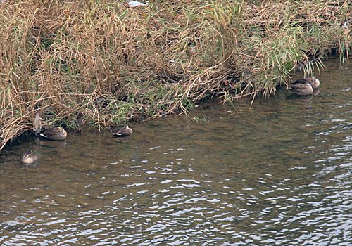 ���᡼�� 2