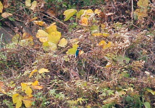 ���᡼�� 3