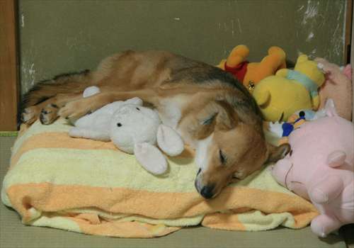 ���᡼�� 1