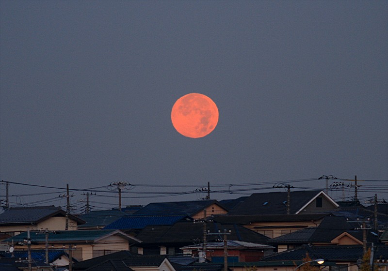 ���᡼�� 1