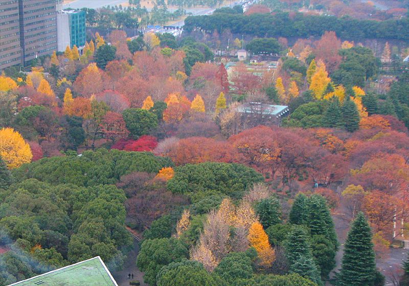 ���᡼�� 1