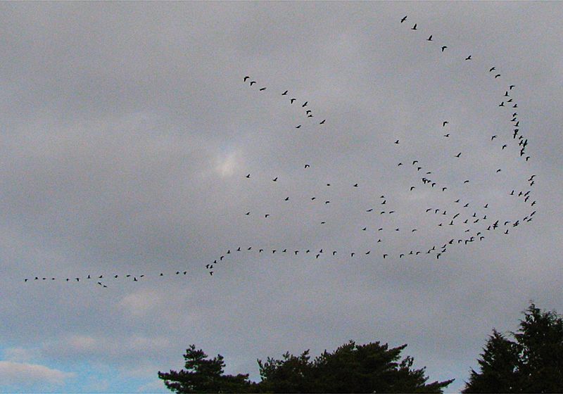 ���᡼�� 2