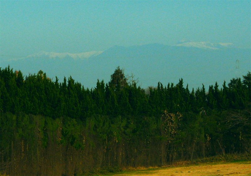 ���᡼�� 3