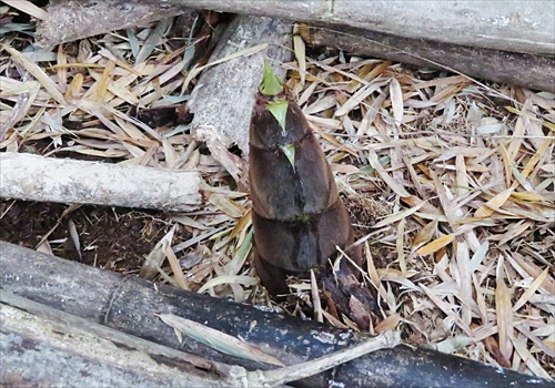 ���᡼�� 2