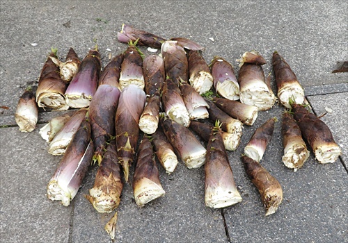 ���᡼�� 3