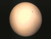 ���z���_�i1998.11.14�j