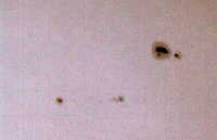 ���z���_(1998.11.14)