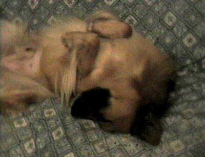 �H�l�������