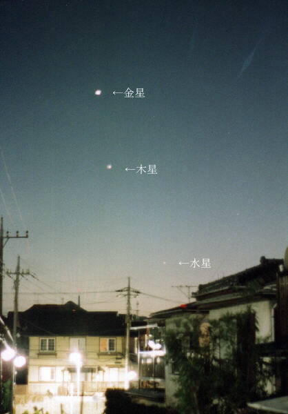 ���ɕ��񂾋����|�ؐ��|����