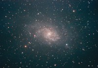 M33