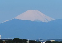 �^�����ɖ߂����x�m�R