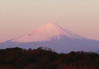 �����̏o�𗁂т��Ԃ��x�m�R