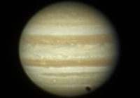 �����̖ؐ�