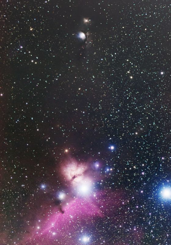 オリオン座のM78星雲からNGC2024(燃え木)、馬頭星雲の周辺