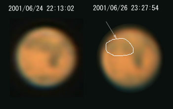 ���_�������̔���