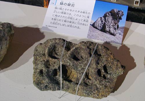 南極の石 特大サイズ 蜂の巣風化 本物です 南極の石 特大サイズ 蜂の巣風化 本物です 南極の石 特大サイズ 蜂の巣